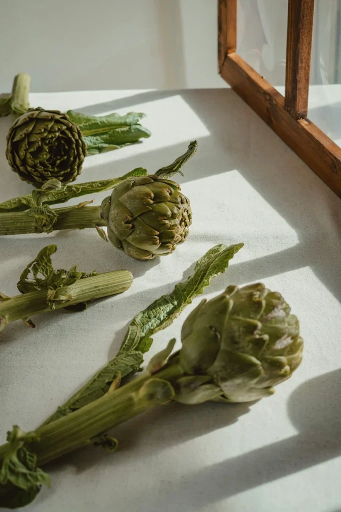 Is vegan diet healthy with fresh artichokes resting on a windowsill in natural light, styled as a simple plant-based ingredient still life.