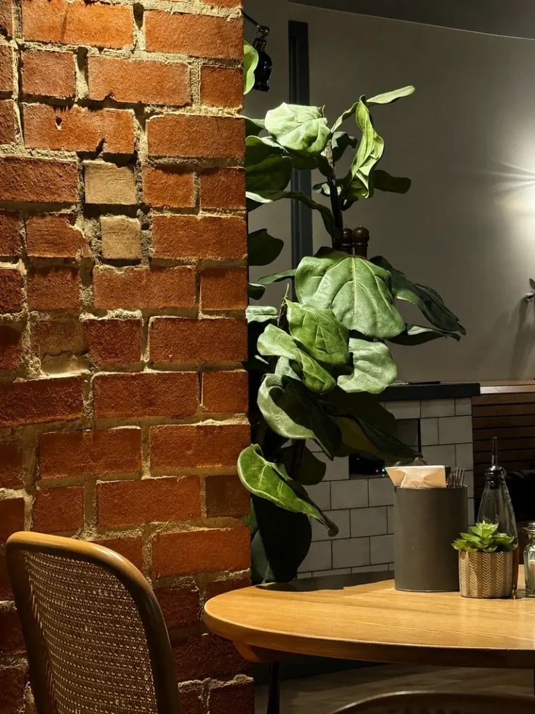 Purezza restaurant interior with exposed brick wall, wooden table, woven chair, and leafy plant in a warm cozy setting.