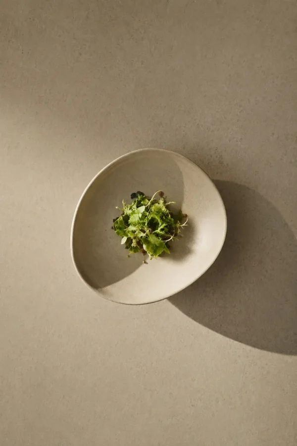 Fine dining green salad served in a minimalist ceramic plate, photographed from above with warm directional light and dramatic shadows.