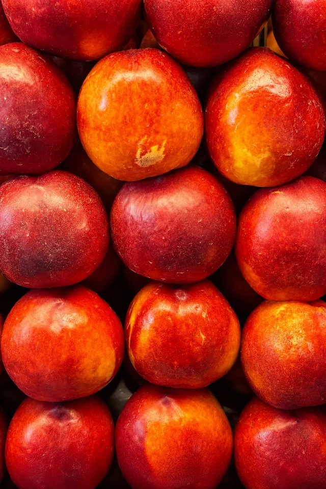 Vegan gazpacho peach ingredient shown as a close-up of ripe red nectarines arranged in rows
