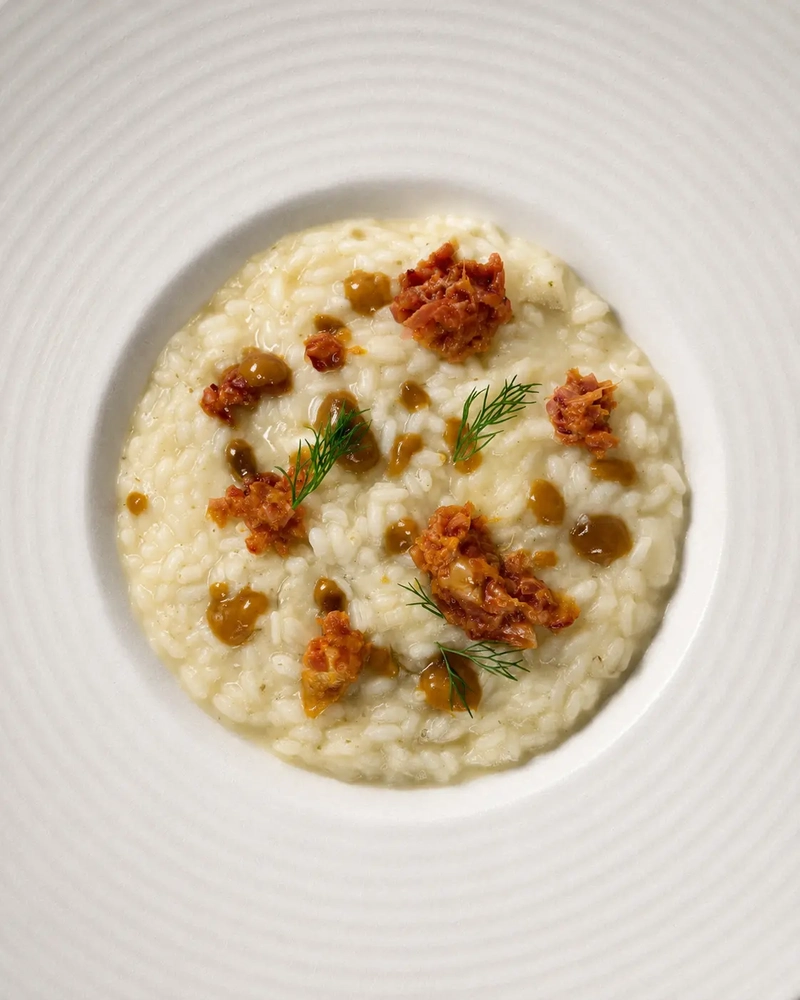 Creamy risotto served in a wide white textured bowl, topped with small golden-brown savory pieces, glossy sauce droplets, and fresh dill, photographed from above in soft balanced light.