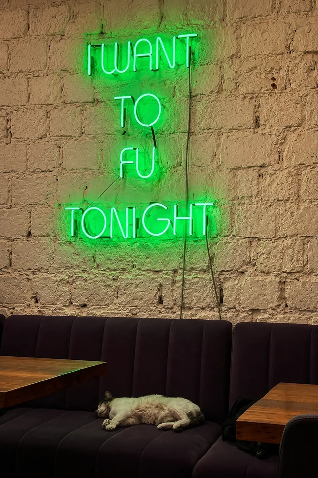 Istanbul vegan restaurants: interior of Vegan Regime with a green neon sign on a white brick wall and a cat sleeping on the sofa.