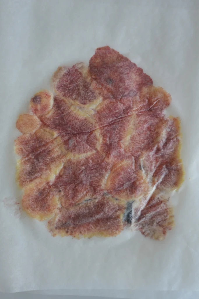 Fresh fig slices gently pressed between sheets of baking paper to create a thin, even layer for fig carpaccio.
