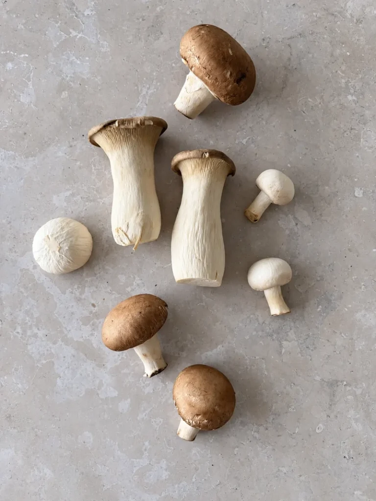 Mixed fresh mushrooms, including king oyster, brown and white mushrooms, arranged on a light stone surface for vegan mushroom risotto.